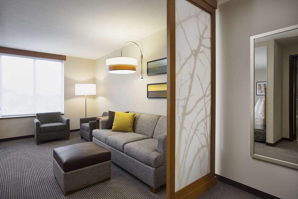 Hyatt Place Chicago Midway Airport Bedford Park Room photo