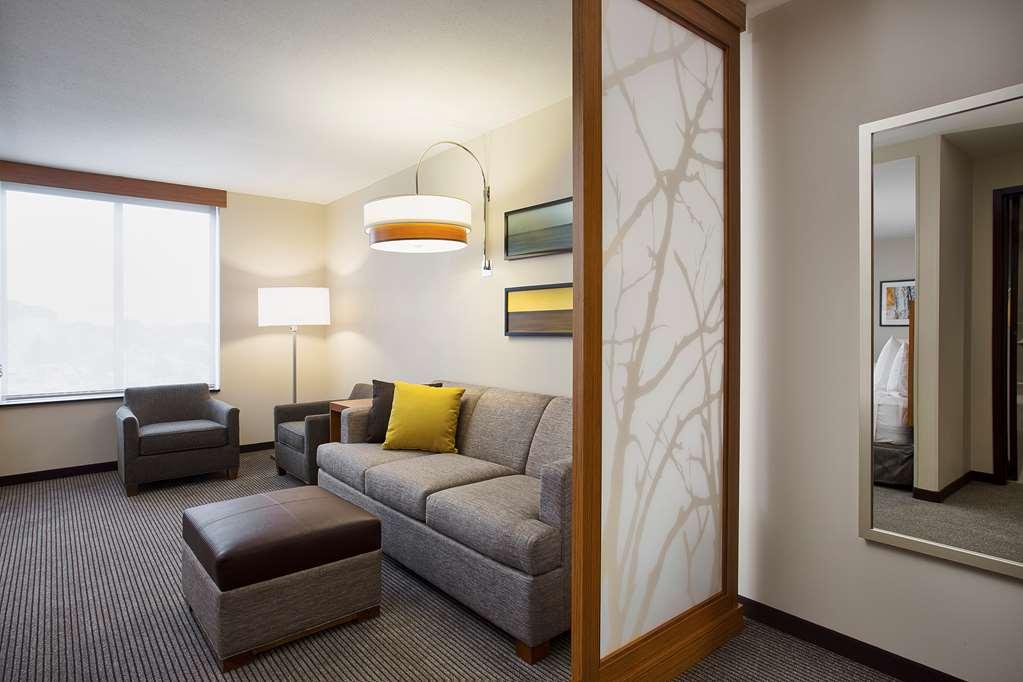 Hyatt Place Chicago Midway Airport Bedford Park Room photo